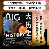 DK大历史 从宇宙大爆炸到我们人类的未来 大卫克里斯蒂安 中信出版社