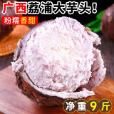 三颂广西荔浦的芋头新鲜大芋头现挖粉香芋头 低脂早餐 粉糯香甜 9斤大果（6-8个装）