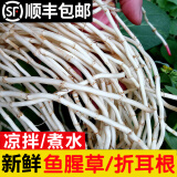 辰实【发顺丰】鱼腥草新鲜 折耳根叶子 侧耳根节节根蔬菜现挖发 5斤鱼腥草根根