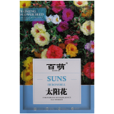 百萌重瓣太阳花花种子四季播种开花易成活花籽阳台室内盆栽苗花卉种孑 重瓣太阳花种子  混色型 2克约2万粒 厂商封装