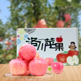 洛川苹果（luochuanapple）【JD快递】陕西延安红富士苹果洛川苹果产地直发脆甜多汁能带皮吃 24枚75mm中小果颗颗优选苹安喜乐