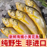 5斤小黄花鱼新鲜冷冻小黄鱼海鲜水产鱼类生鲜黄花鱼 3斤