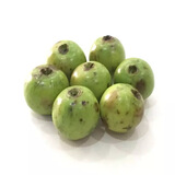尼泊尔带皮凤眼风干菩提青皮凤眼龙眼菩提子原籽手串通货散籽干果 风干果22mm左右试玩30颗