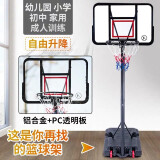 双航 篮球架 室内家用篮球框球架 户外可升降可移动标准高度篮球架 350标准款(篮筐1.9-3.05米)