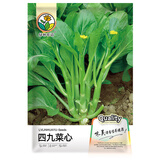 绿林花语四九菜心种子菜苔蔬菜种籽四季食用家庭阳台种植农家速生菜