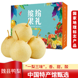 魏儿郎 鸭梨魏县大鸭梨 梨子 当季精品生鲜水果冰糖雪梨送礼 9斤水晶鸭梨【精选大果】