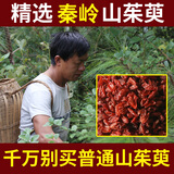 山茱萸正品特级500g包邮新鲜山茱萸肉山茱萸果山茱萸干可泡茶 山茱萸正品特级500g