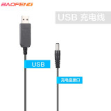 宝锋（BAOFENG） 对讲机车充 12-24V通用车充线 USB接口（细头3.5mm）