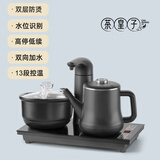 茶皇子（CHAHUANGZI） 全自动上水电热烧水壶泡茶专用茶桌台嵌入式茶艺电茶炉茶具套装 双炉-煮杯款-防烫