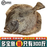鹿凌青多宝鱼【 鲜活发货】现捕现发 冰鲜偏口鱼八宝鱼大菱鲆 比目鱼 2条（0.7-0.8斤/条）新鲜活冻 【足称】支持验称