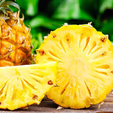 惠食一族广东湛江徐闻新鲜香水菠萝 4.5-5斤装菠萝当季水果脆甜可口  4.5-5斤普通装
