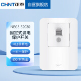 正泰（CHNT）固定式漏电保护开关 40A 230V~NEG3-62030