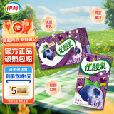 伊利11月产优酸乳250ml*24盒整箱装原味草莓饮品含乳饮料多规格可选 【7月产】优酸乳蓝莓味24盒