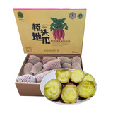 祖母绿（Zumulu）海南澄迈桥头镇富硒地瓜红薯精品地瓜5kg礼盒装