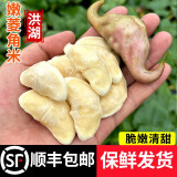 藕荷泥（OUHENI）现摘洪湖新鲜菱角老菱角黑菱角青菱角米新鲜粉糯湖北特产生鲜棱角 嫩菱角米 3斤 （顺丰保鲜发货）