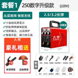 大焊 电焊机家用小型220v 380v双电压手提电子工业级迷你焊机 全套4米焊线【250数显220V】