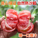 密水农家密云本地新鲜沙瓤西红柿 番茄 生鲜 蔬菜儿时味道 西红柿 2000g
