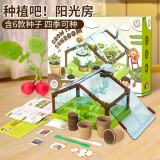 YIER迷你种植阳光房儿童玩具小学生科学实验套装手工diy植物六一礼物 阳光种植房-豪华款【6款种子】