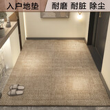 布迪思地垫入户门脚垫进门口现代简约轻奢加厚蹭土蹭灰防滑垫子 米色纹【多数人选择】 80*120CM【进门推荐尺寸】