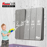 认真认真IP67灰色开关16A超强防水防潮五开通用双机风暖浴霸 灰色浴霸五开通用双风