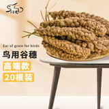 闪兔 鹦鹉保健砂断奶学吃营养鸟粮谷穗玄凤虎皮鸟食牡丹磨牙逗宠饲料 高端优质黄谷穗20串（更划算） 鹦鹉专用粮