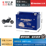 猛狮电池适用豪爵Tr300 UHR150 AFR125/S 踏板原厂电瓶12V通用蓄电池 豪爵Tr300 顶配款 容量11.2A