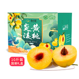 炎陵黄桃湖南炎陵高山黄桃红心脆甜生鲜水果 家庭畅享10斤装(18-24个)|JD快递
