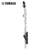 雅马哈（YAMAHA）新风管YVS100竖笛成人学生儿童演奏【学生适用 老师推荐】