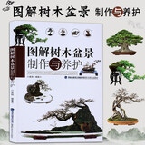 图解树木盆景制作与养护 盆景书籍盆栽图书大全树木盆景造型设计书栽培技术盆景栽培技术书中小型盆景制作图解家庭园艺书