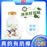 光明  低温风味牛乳饮品 一只椰子250ML*10瓶