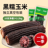 问君 头茬大棒2023黑玉米220g/支粘黏即食甜糯玉米棒健身减熟代餐玉米 【大棒】黑糯玉米10支*220g