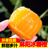 果果牛湖南麻阳冰糖橙 应当季新鲜水果手剥甜橙子高山夏脐血多汁 可选 5斤装(60-65mm)推荐