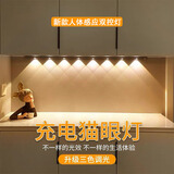 智能人体感应猫眼灯全自动家用充电橱柜玄关鞋柜酒柜LED灯带 白色20CM【2灯珠】人体感应