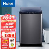 海尔（Haier）波轮全自动洗衣机 一级能效 12公斤大容量可洗大窗帘桶自洁  商用家用小型宿舍宾馆洗衣机 12公斤直驱变频+电离除菌+智能预约波轮洗衣机