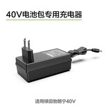 绿田（LUTIAN）无线锂电洗车机手持高压水枪配件附件充电器 40V/0.5A充电器（B4）