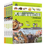 大英儿童漫画百科【61-65册】（为孩子量身打造的知识博物馆）【6-14岁】  