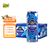 SUSA苏萨生榨椰子汁 椰奶 植物蛋白饮料245ml*24罐 礼盒装 中秋送礼