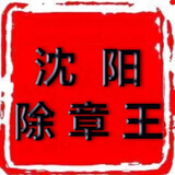 消章灵去除无痕迹不伤纸上红蓝色印油消除印章去除印泥清洗剂液笔 一套两瓶【10毫升】