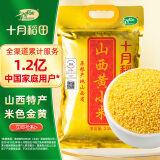 十月稻田 山西黄小米 2.5kg (五谷杂粮 小黄米 吃的小米粥 真空装)