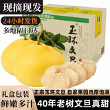 御香梅 玉环大文旦柚子浙江台州楚门新鲜水果文旦柚子当季白心时令 柚子 9斤【2-3个装】超值性价比
