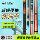 浮烟山短节鱼竿溪流竿超轻超硬超细野钓便携手杆鲫鱼竿 青龙19调8.0米
