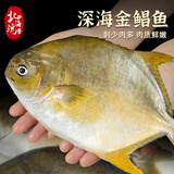 北海湾 新鲜海捕金鲳鱼 大鲳鱼海鲜平鱼冷冻扁鱼冰鲜大鲳鱼海鱼银鱼鱼类 【净重200-300克/条】 共4条