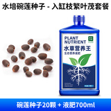 疯狂水草 碗莲种子水培-入缸繁茂套餐（种子20颗+营养液肥700ml）