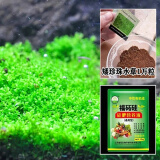 鱼缸水草种子生态玻璃瓶植物种籽孑水培阴性真草装饰造景套餐懒人 趴地矮珍珠水草1万粒+营养液