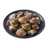 鲜京采 鲜活文蛤250g/份（约8-18粒）青蛾/蛤蜊 活鲜水产贝壳