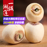 冠莲2025新莲子干货500g一级带芯磨皮莲子农家自产无硫有芯白莲湘莲 0.5KG