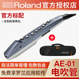 罗兰（Roland）电吹管AE01 AE01C初学者电萨克斯AE05自带扬声器无线蓝牙乐器 AE-01+定制便携包