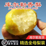 鲜武士新疆库尔勒香梨全母梨大果脆甜多汁鲜摘鲜发时令生鲜水果 库尔勒香梨 小果3斤