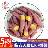 薯小萌正宗天目山临安小香薯5斤沙地红薯山芋正宗现挖板栗小番薯礼盒 天目山香薯5斤小果