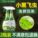 皎洁家用花盆专杀花土壤杀虫剂灭花卉植物里的小黑飞非无毒杀虫飞虫药 2瓶